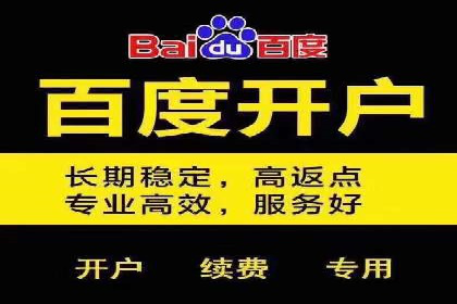 百度推广代运营公司：打造高效的网络营销团队