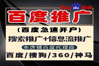 竞价账户优化：成功企业的广告策略揭秘